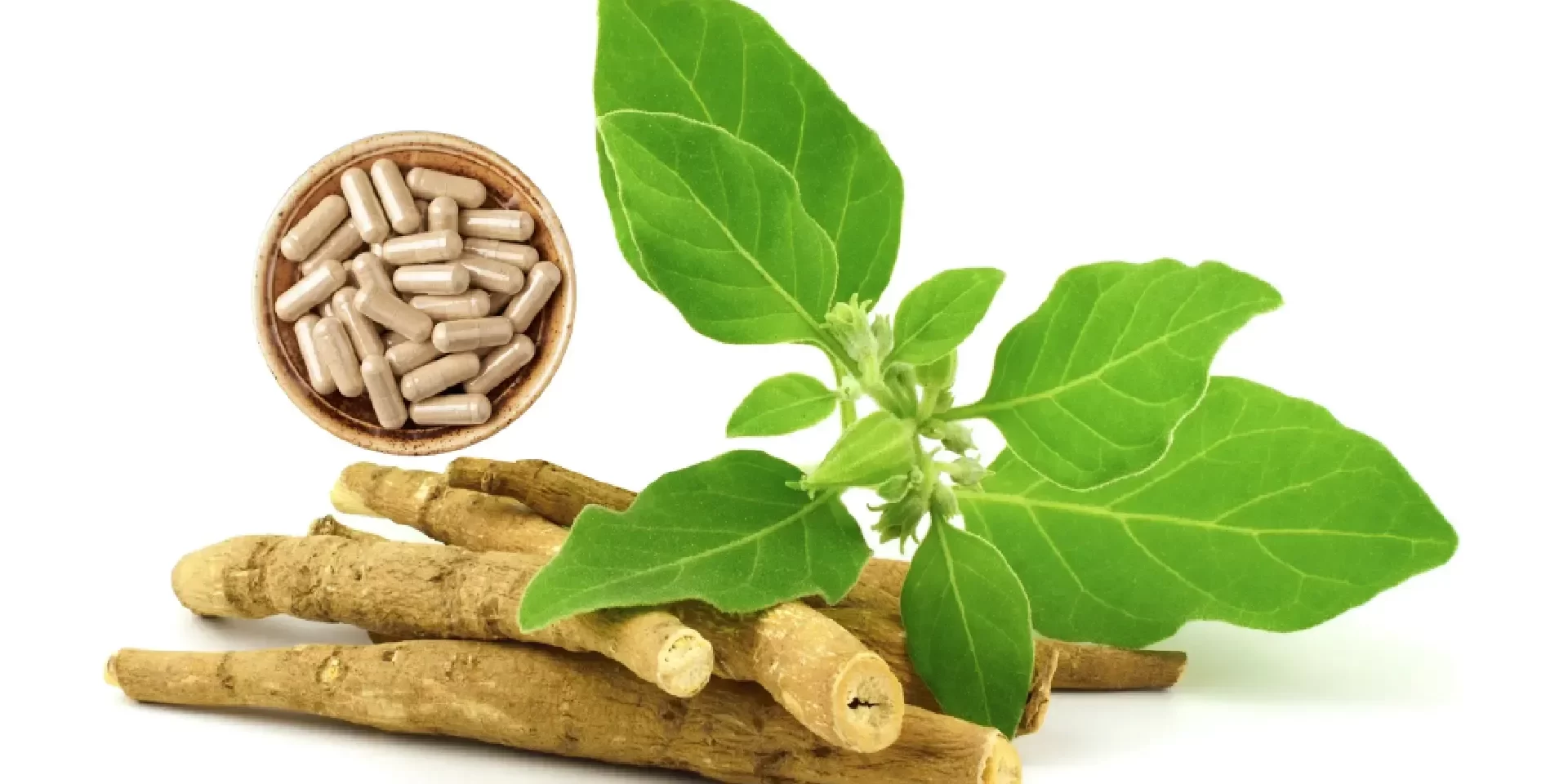 Ashwagandha suplemento para reduzir o estresse