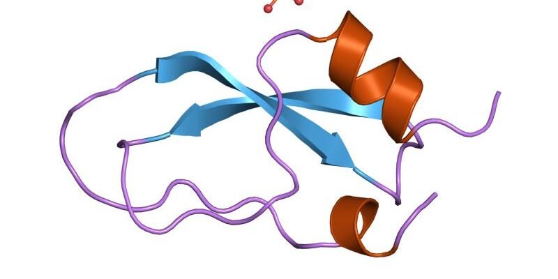 colageno-hidrolisado-beneficios-como-tomar-featured