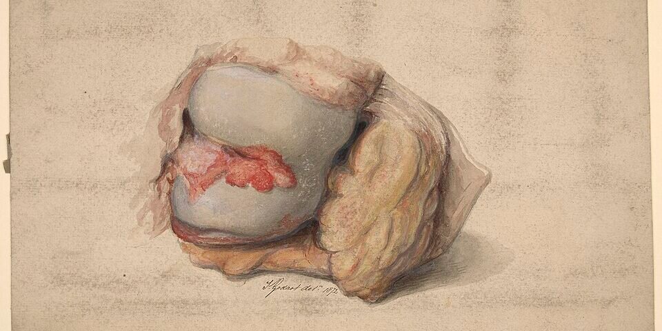 combo-suplementos-articulacoes-joelho-2026-featured