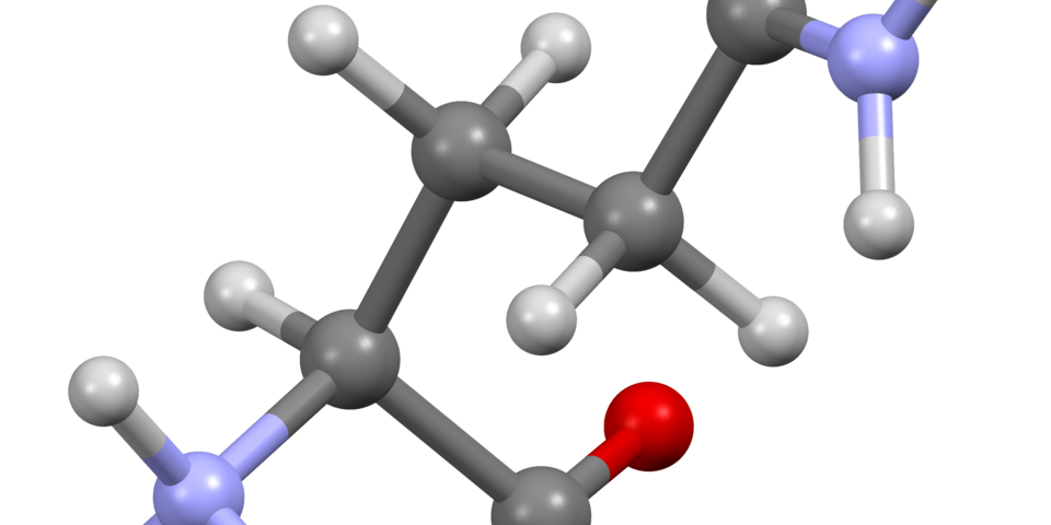 glutamina-featured-real