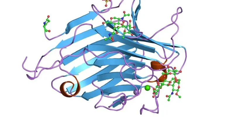 5-HTP: Para que Serve, Benefícios, Dosagem e Efeitos Colaterais (2026) – Dica Suplementos 5-HTP: Para que Serve, Benefícios, Dosagem e Efeitos Colaterais (2026) - imagem ilustrativa sobre benefícios, cuidados e suplementação