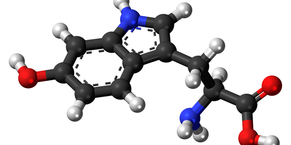 5-htp-suplemento-guia-completo-featured