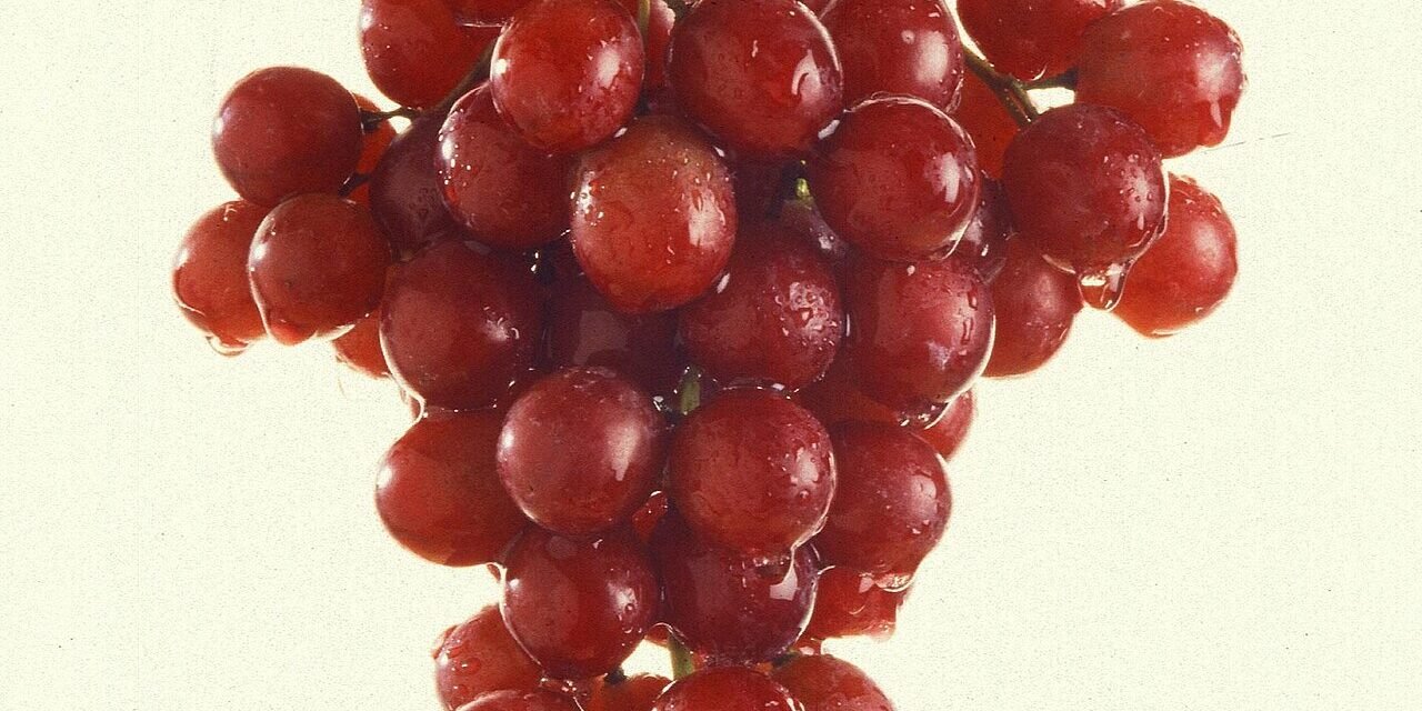 Resveratrol: Benefícios, Para que Serve e Como Tomar (Guia 2025) – Dica Suplementos Resveratrol: Benefícios, Para que Serve e Como Tomar (Guia 2025) - imagem ilustrativa sobre benefícios, cuidados e suplementação