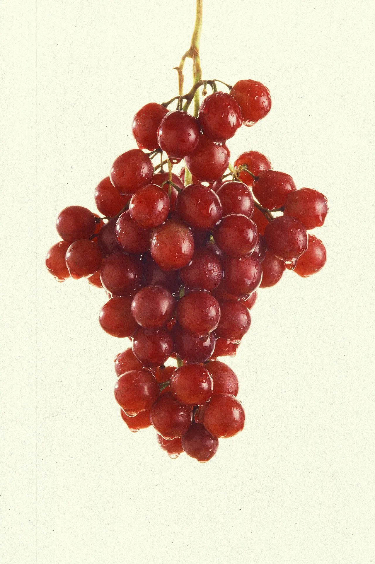 Resveratrol: Benefícios, Para que Serve e Como Tomar (Guia 2025) - imagem ilustrativa sobre benefícios, cuidados e suplementação