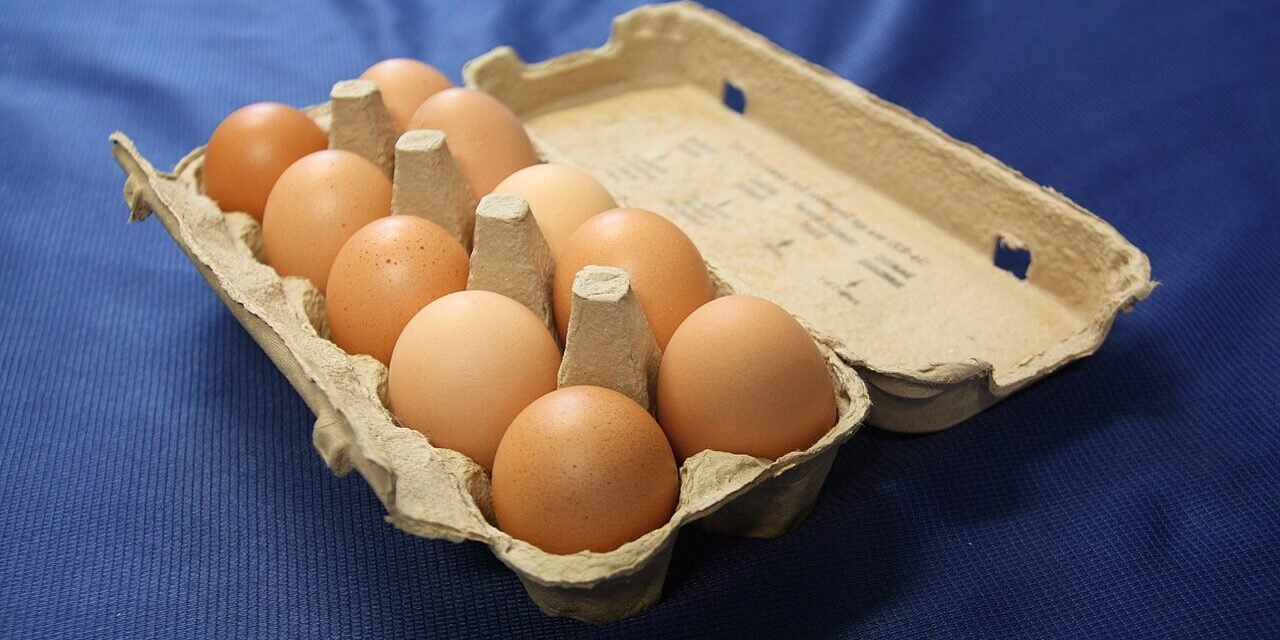 Vitamina B12: O Guia Essencial para Energia e Sistema Nervoso (2026) - imagem ilustrativa sobre benefícios, cuidados e suplementação