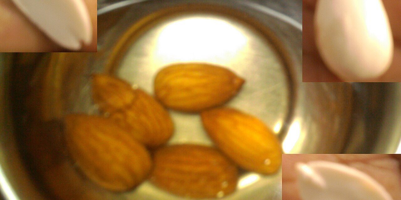 Vitamina E: O Antioxidante Essencial que Protege Suas Células (2026) - imagem ilustrativa sobre benefícios, cuidados e suplementação