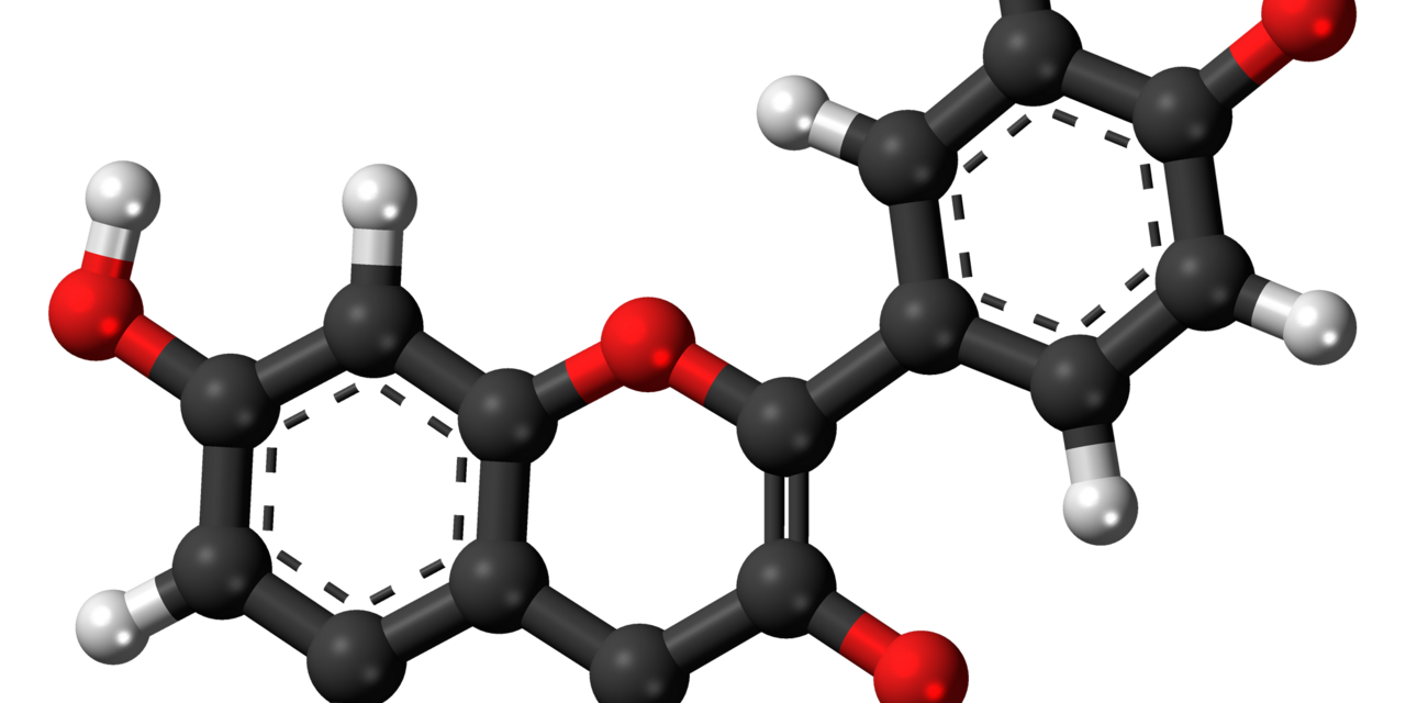 Fisetina: o Flavonoide Senolítico Estudado para Longevidade Fisetina: o Flavonoide Senolítico Estudado para Longevidade