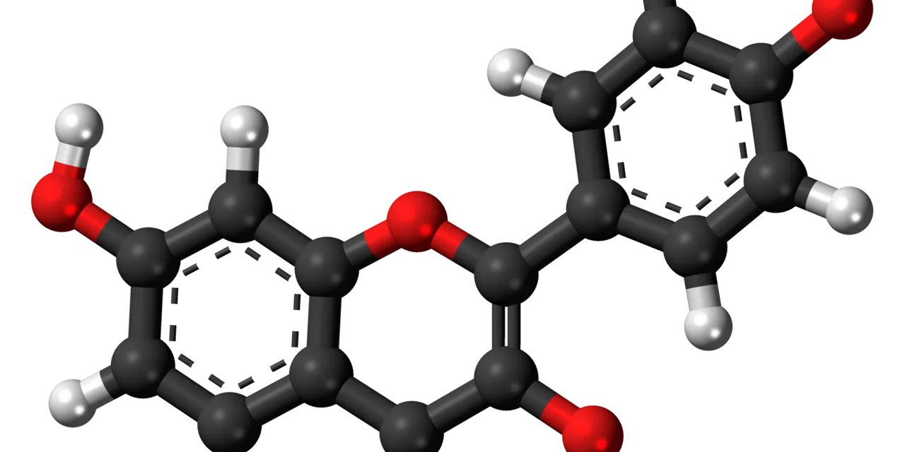 Fisetina: o Flavonoide Senolítico Estudado para Longevidade Fisetina: o Flavonoide Senolítico Estudado para Longevidade