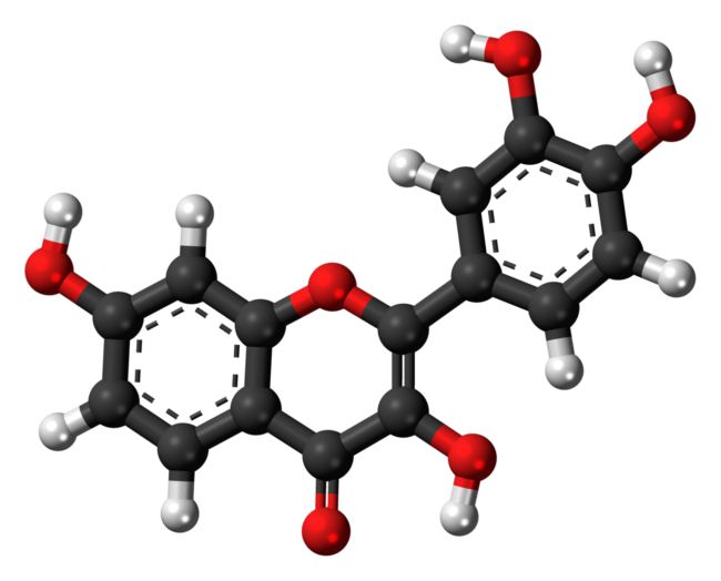 Fisetina: o Flavonoide Senolítico Estudado para Longevidade