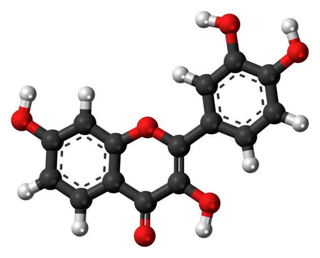 Fisetina: o Flavonoide Senolítico Estudado para Longevidade Fisetina: o Flavonoide Senolítico Estudado para Longevidade