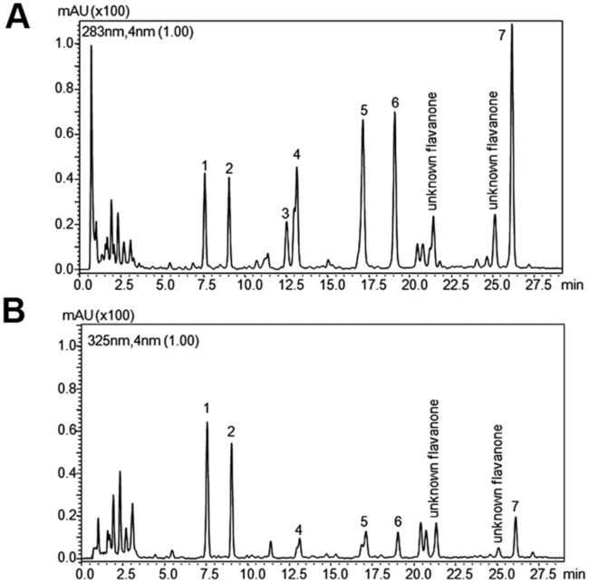 Apigenina — Flavonoide para Sono Profundo Apigenina — Flavonoide para Sono Profundo
