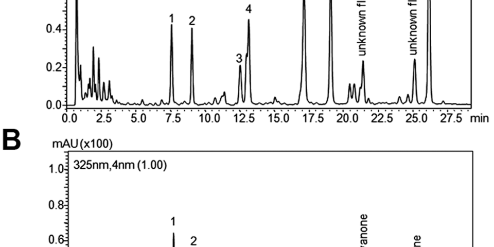 Apigenina — Flavonoide para Sono Profundo