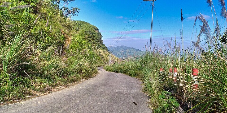 DIM — Detox de Estrogenio para Homens e Mulheres