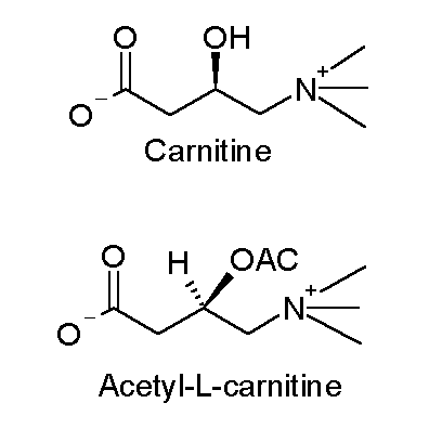 L-Carnitina — Realmente Queima Gordura?