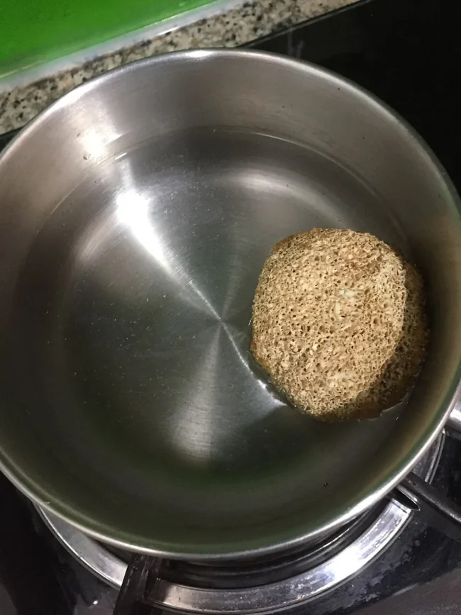 Lions Mane — Cogumelo da Neurogenese