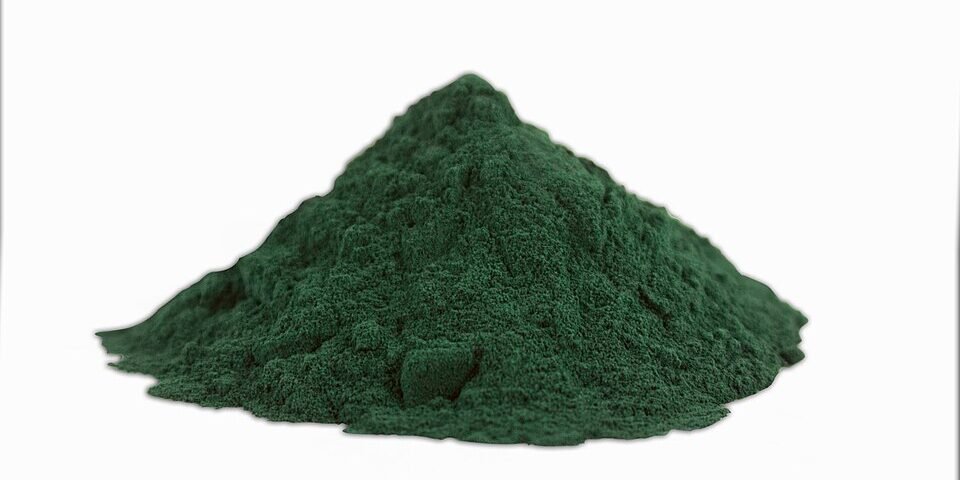 Spirulina chlorella featured