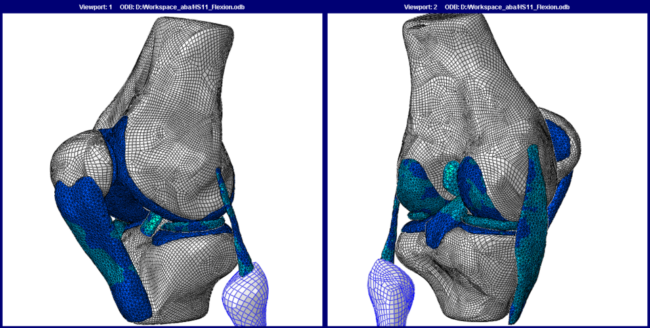 Suplementos para saude das articulacoes guia featured