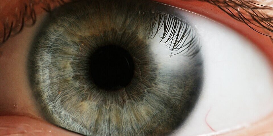 Suplementos saude ocular 40 featured