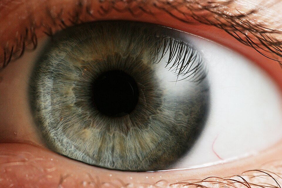 Suplementos saude ocular 40 featured