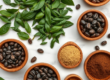 Pré-Treino Natural: Alternativas à Cafeína Sintética 2026